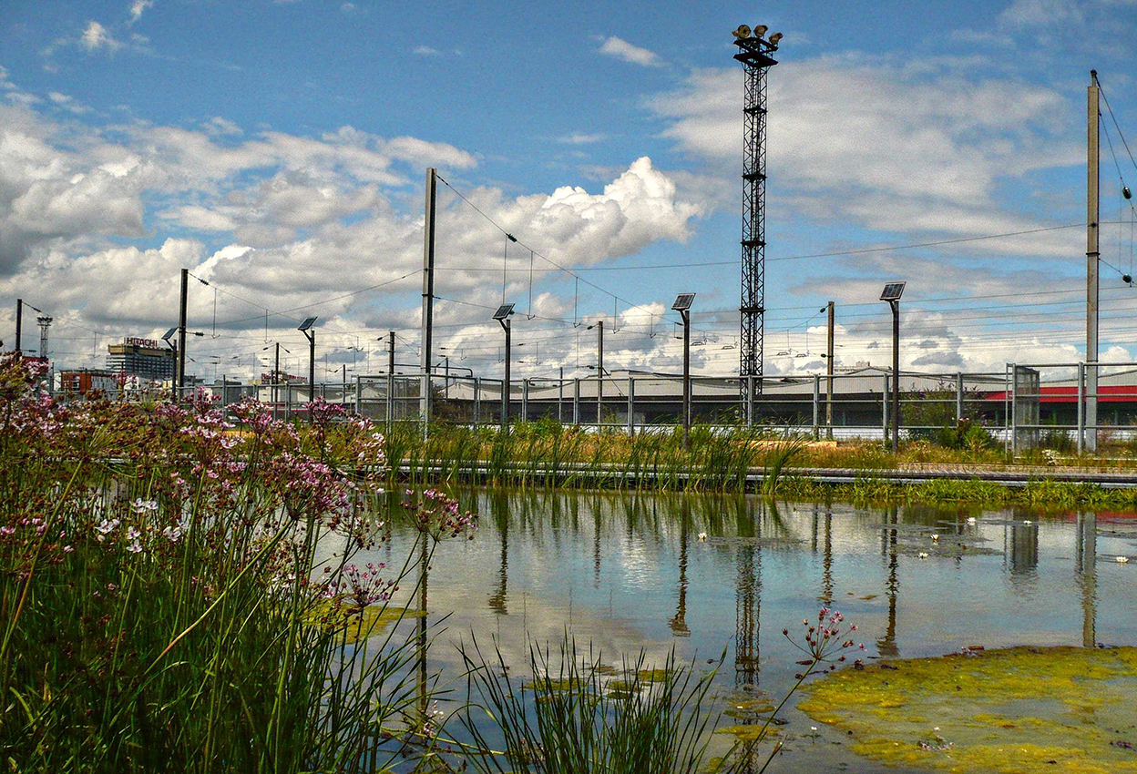 Gestion des eaux du parc Martin Luther King